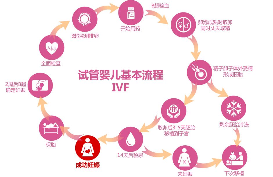 成都海外试管费用