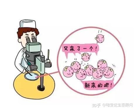 人流手术