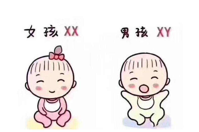 人流手术