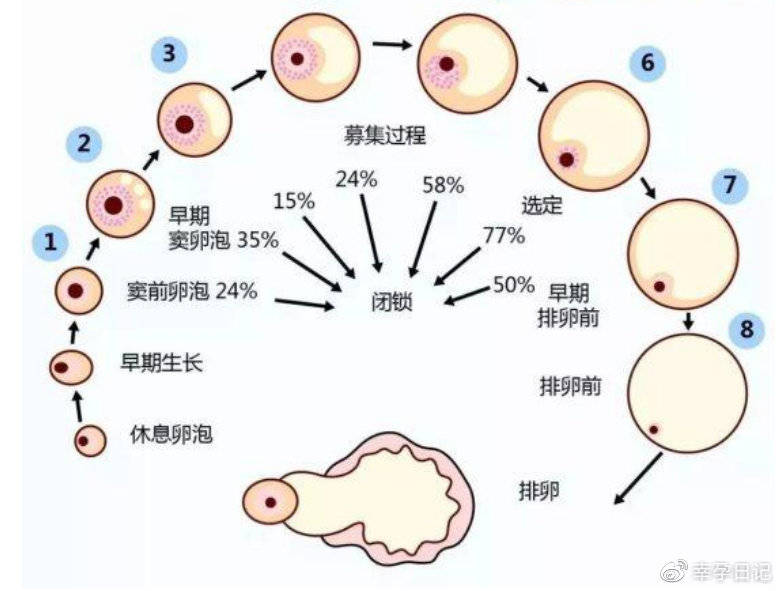 人流手术