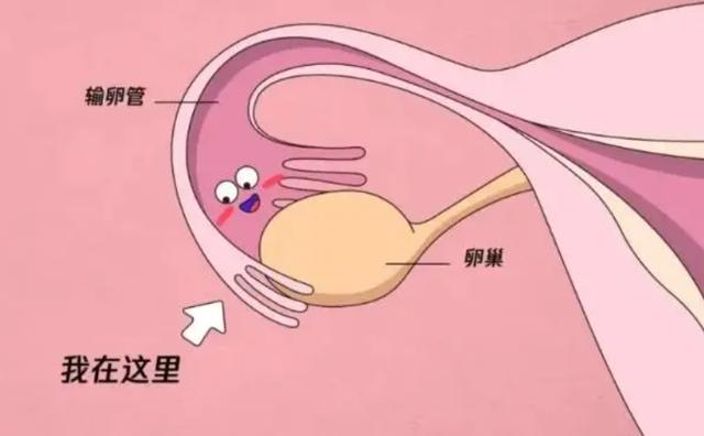 人流