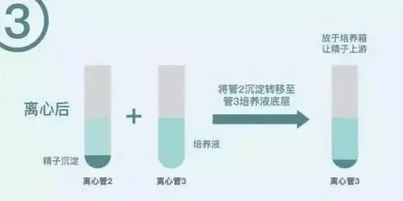 人流