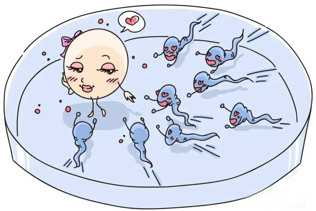 人流手术