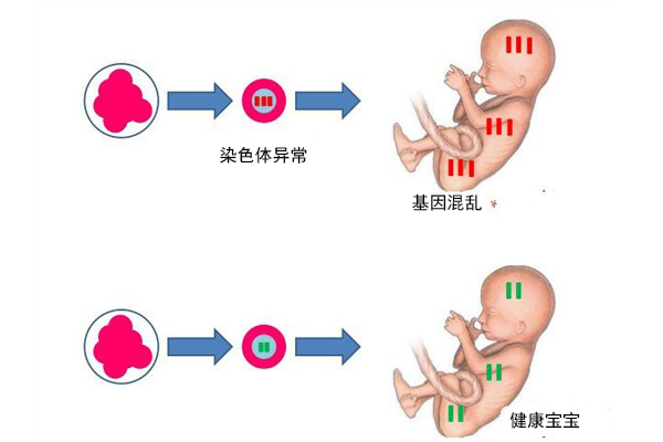 人流费用标准
