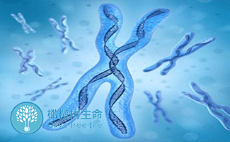 人流得最佳时间